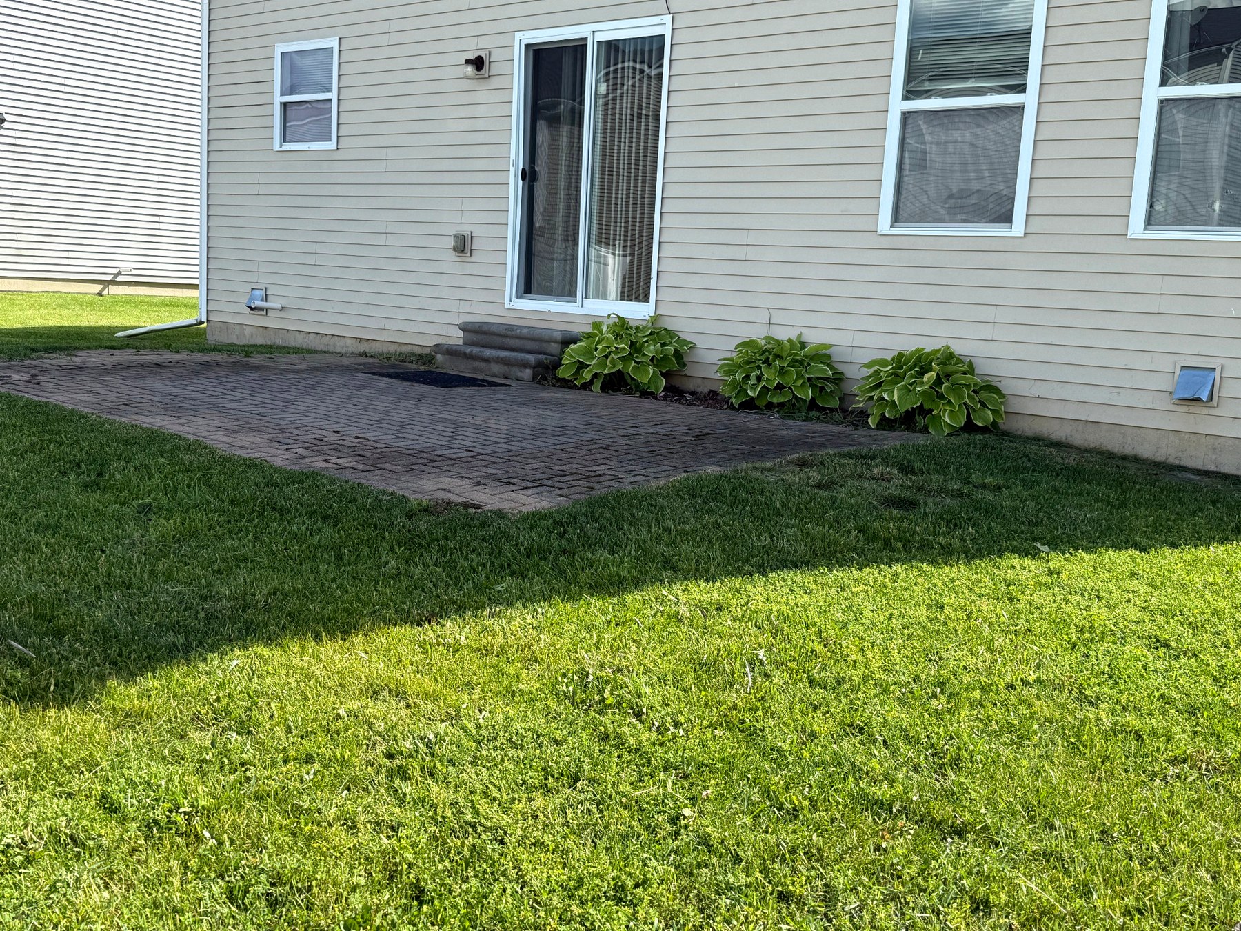 Lawn after SRS mowing