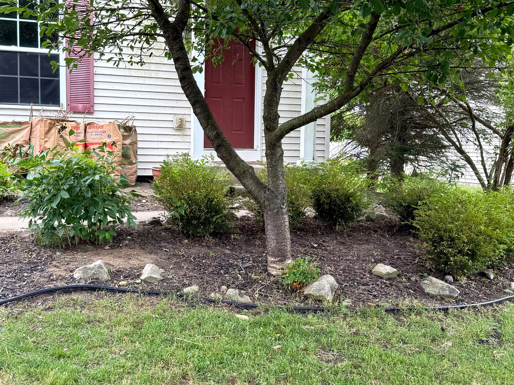 Completed SRS weeding job