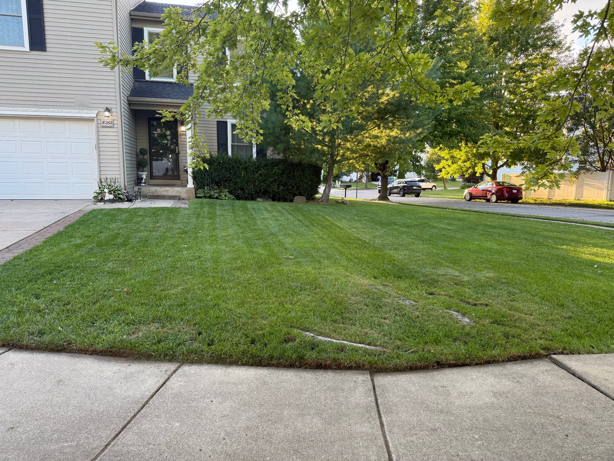 Completed SRS front-yard mowing job