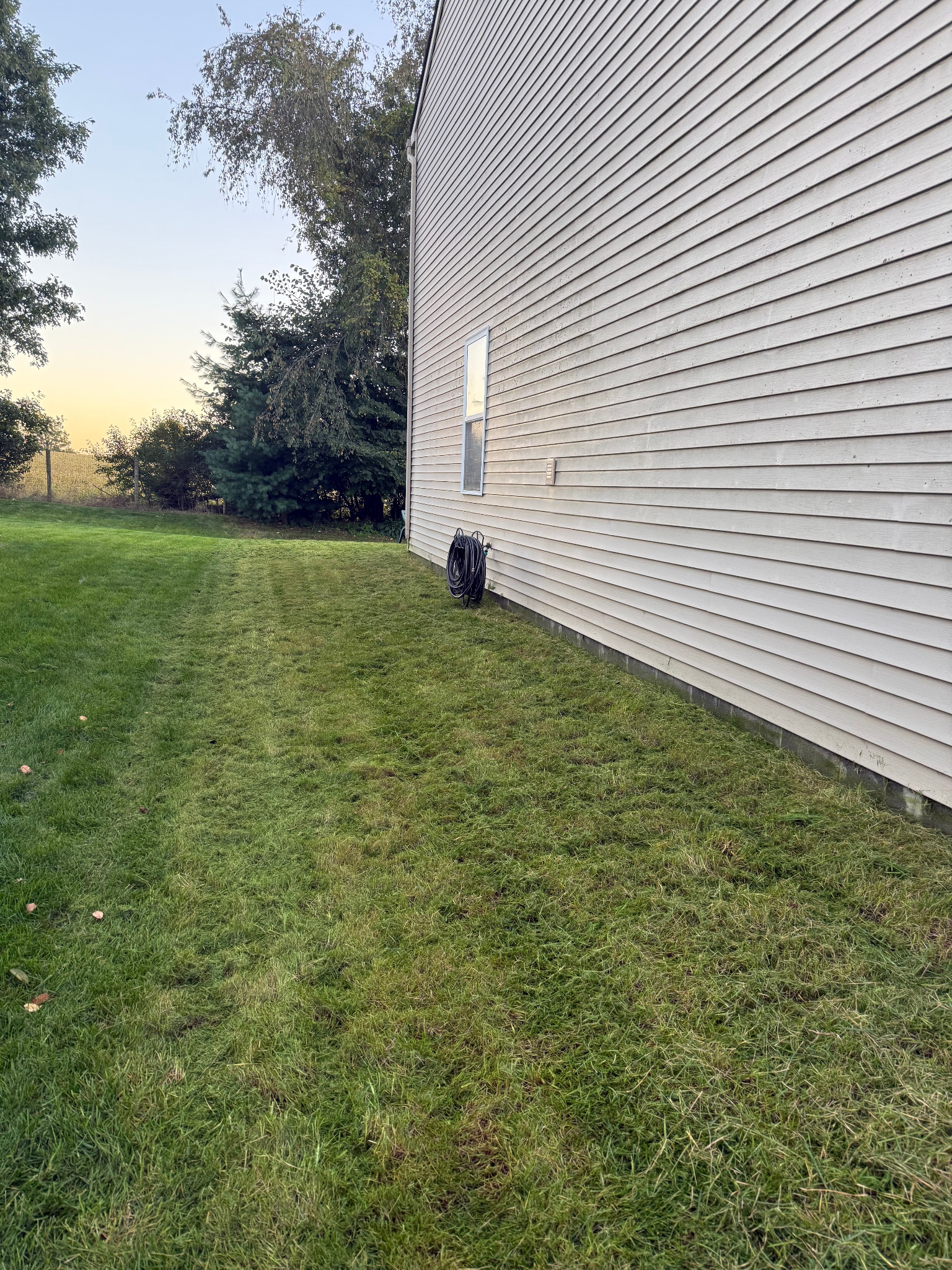 Overgrown lawn after SRS mowing and cleanup